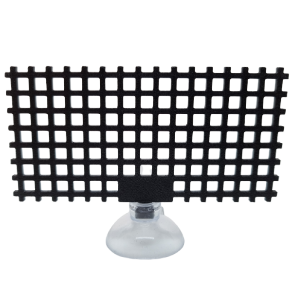 Moosgitter, Moos, Aquascaping, Spiky Moos, Creeping, Javafarn, Java Moos, Bucephelandra, Moosgitter, Gitter, Netz, Moosnetz